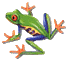 animated frog
