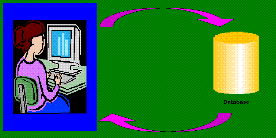 womyn interacting with a database