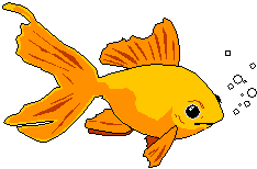 poisson