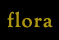Sipan fauna