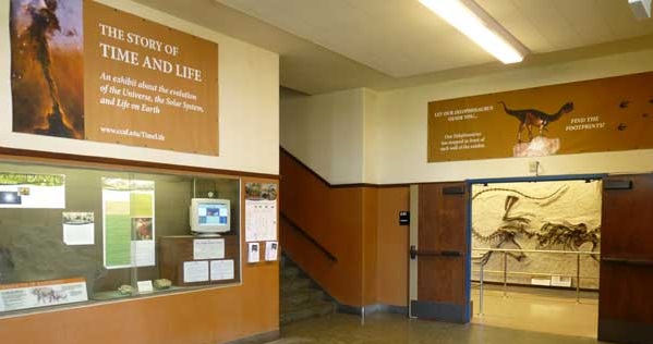 Fossil Gallery