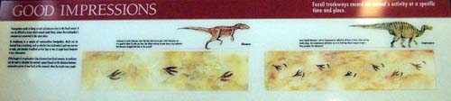 Photo of the panel from the exhibit.