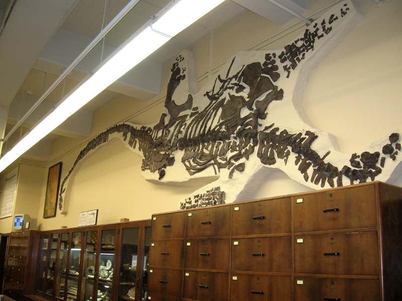 Science 45 labroom looking at the west wall with the Plesiosaur.