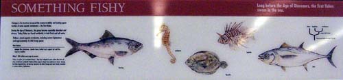 Photo of the panel from the exhibit.