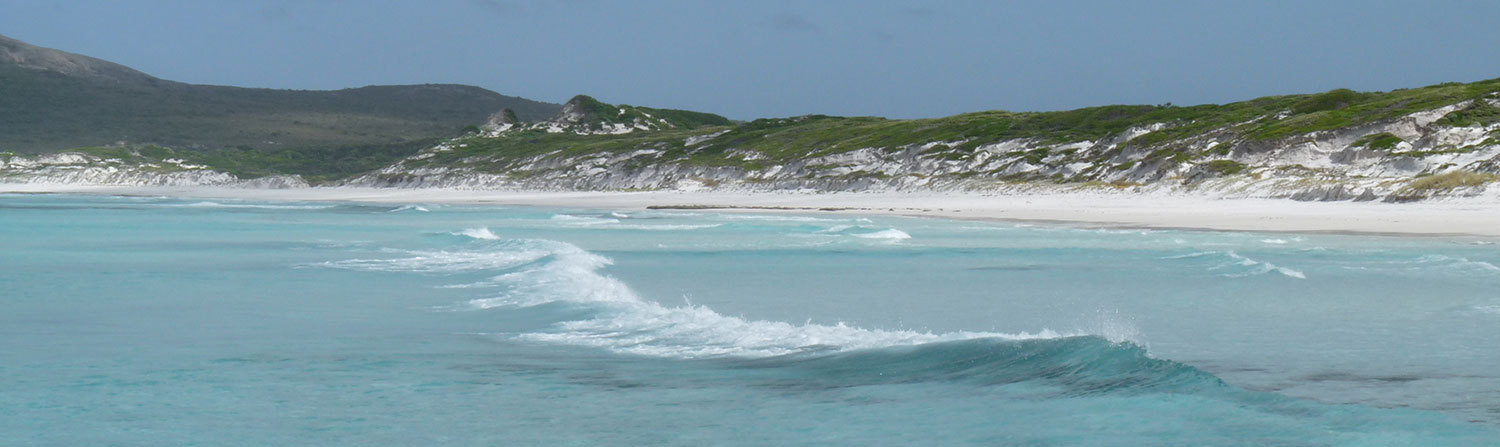 Beach and waves.