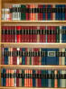 picture of book shelf filled with books
