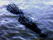 Crocodile