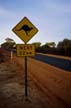 Kangaroo roadsign