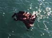 Manta Ray