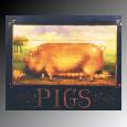 image of pig