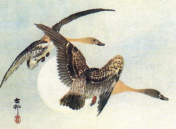 picture of Koson's 'On the Wing'