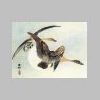 clickable thumbnail photo of Koson's 'On the Wing'