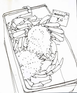 crab drawing