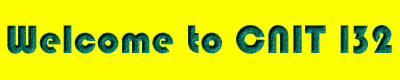 CNIT 132 Banner