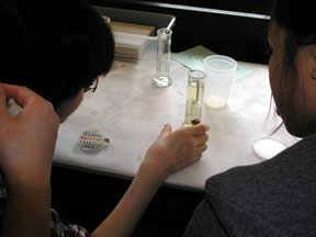 specific gravity