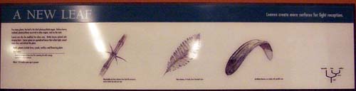 Photo of the panel from the exhibit.