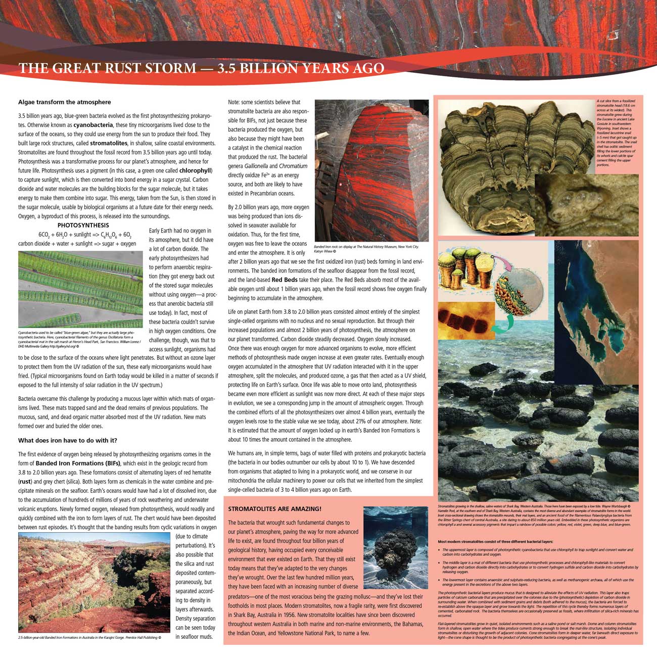 Photo of the panel from the exhibit.