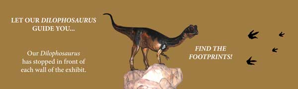 Photo of the banner on the wall of the exhibit start.