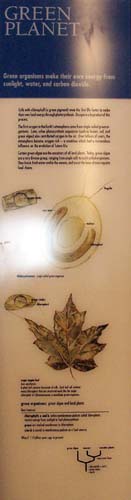 Photo of the poster from the exhibit.