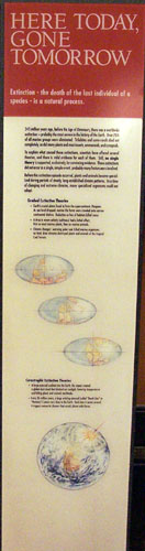 Photo of the panel from the exhibit.