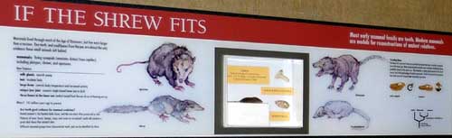 Photo of the panel from the exhibit.