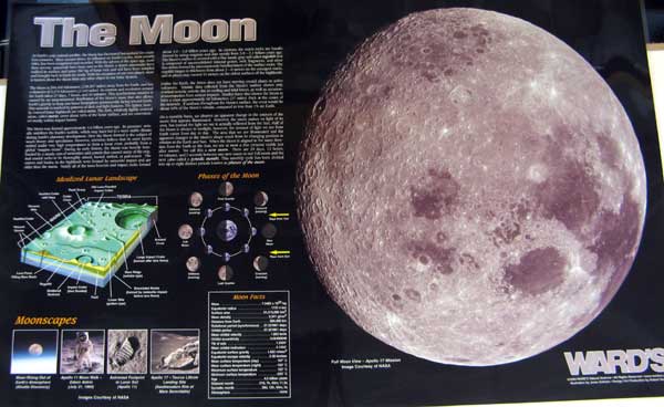 Photo of the poster from the exhibit.