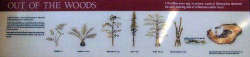 Photo of the panel from the exhibit.