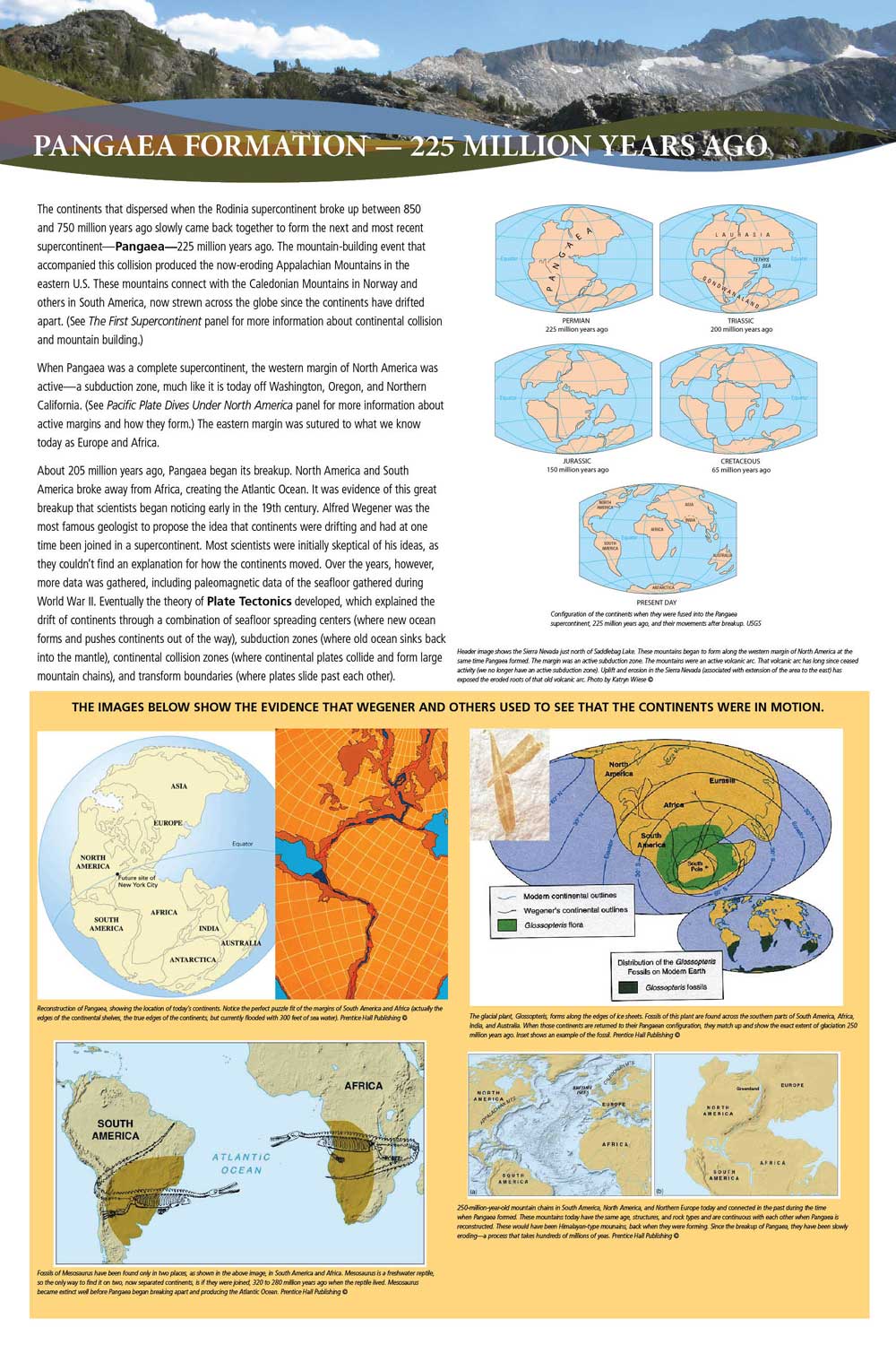 Photo of the panel from the exhibit.