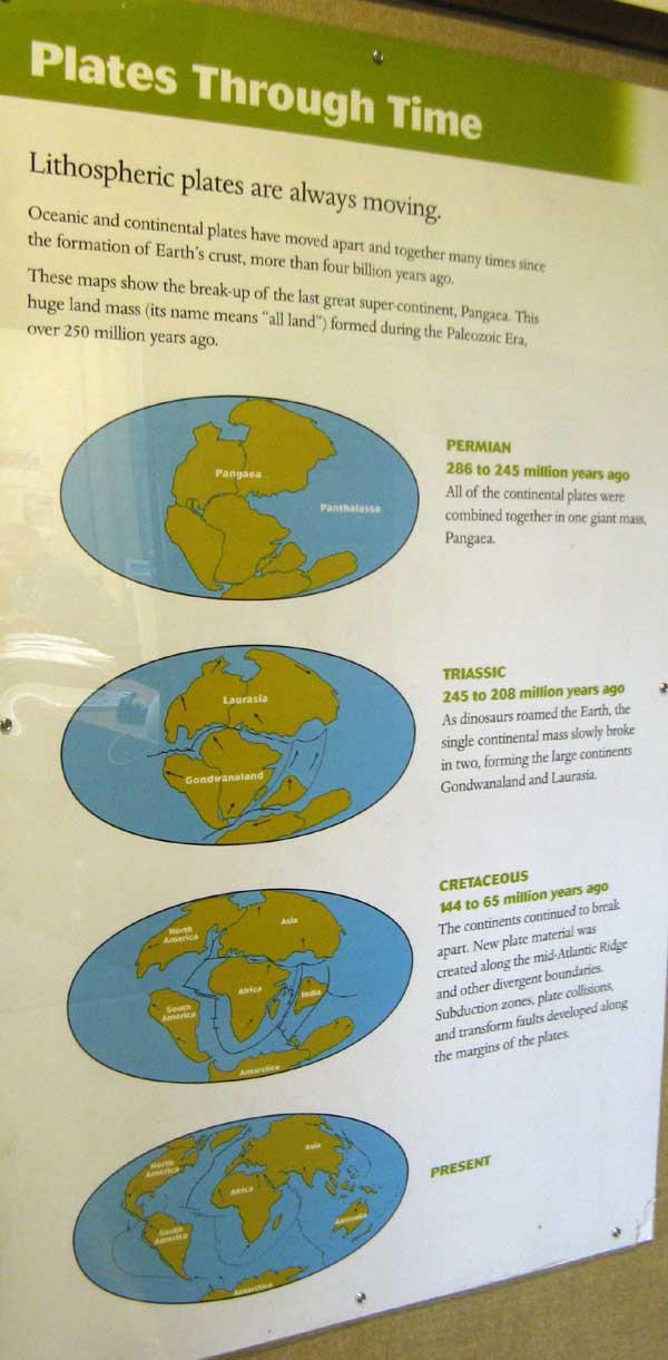 Photo of exhibit poster.