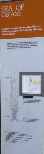 Photo of the panel from the exhibit.