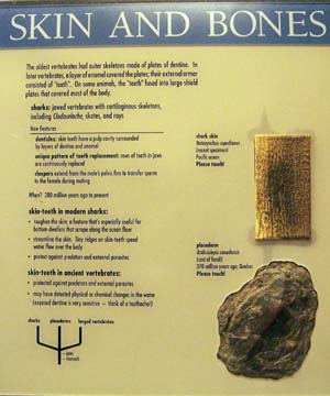 Photo of the panel from the exhibit.