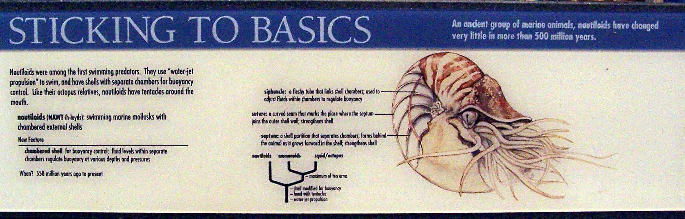 Photo of the panel from the exhibit.