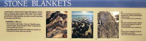 Photo of the panel from the exhibit.