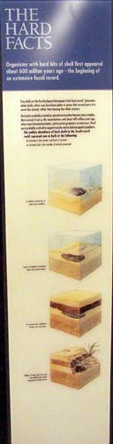 Photo of the panel from the exhibit.