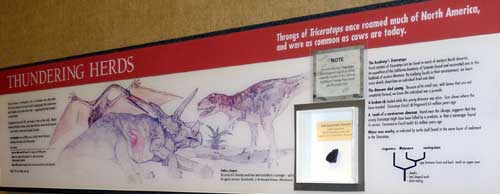 Photo of the panel from the exhibit.