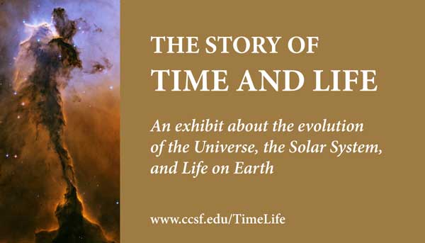 Photo of the panel from the exhibit.