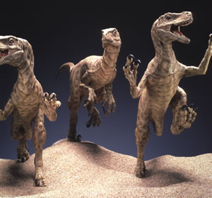 Velocirapors from the original diorama at Cal Academy
