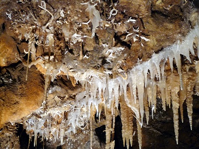 Limestone Cave -- Sierra Nevada.