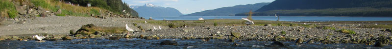 Shoreline shot near Juneau Alaska. Shoreline shot near Juneau Alaska.