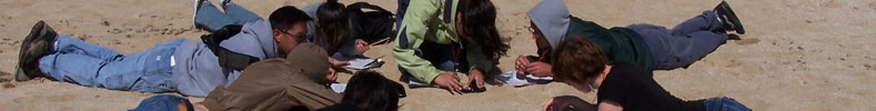 Students on beach studying sand. Students on beach studying sand.