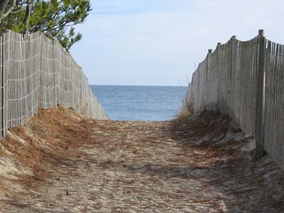 Beach Path