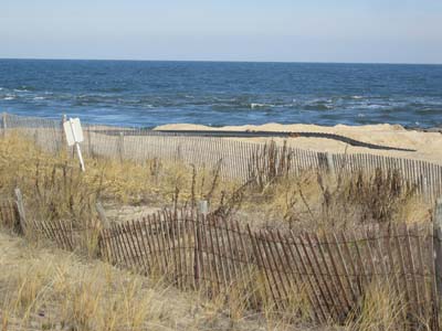 Dunes 1