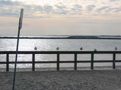 Inlet Bridge
