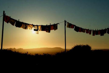 flags
