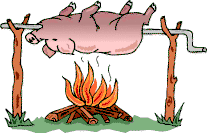 pig1