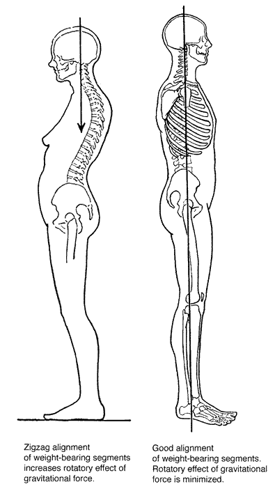 standing posture graphic